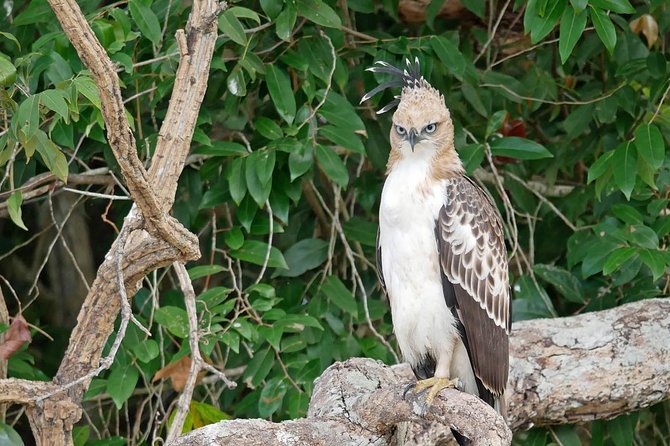 Wilpattu National Park Private Full Day Tour From Colombo - Why Wilpattu is worth the long ride