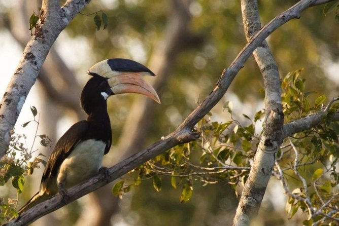 Wilpattu National Park Private Full Day Tour From Colombo - Is $321 good value?