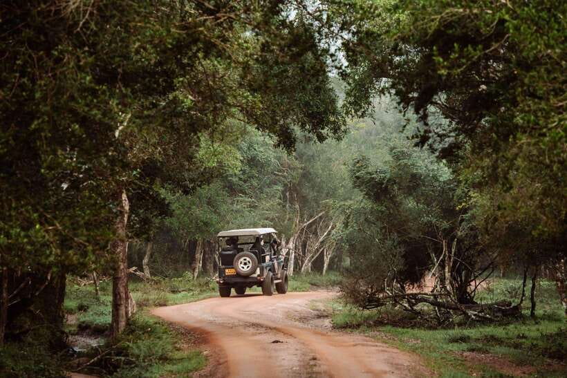 Wilpattu National Park: Private Safari - The willus are the quiet stars