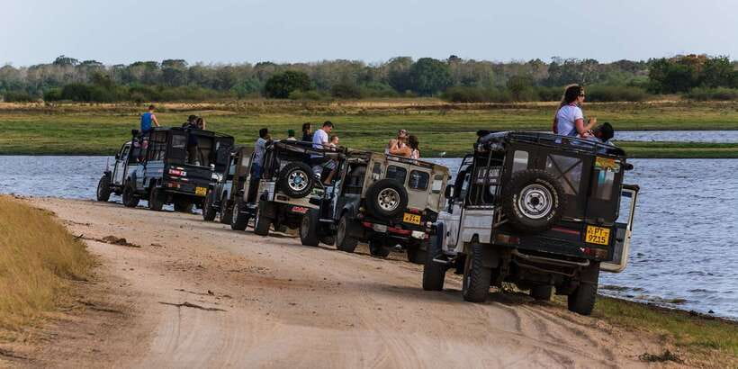 Wilpattu National Park Safari Tour from Colombo - Guides, drivers, and the small details that matter