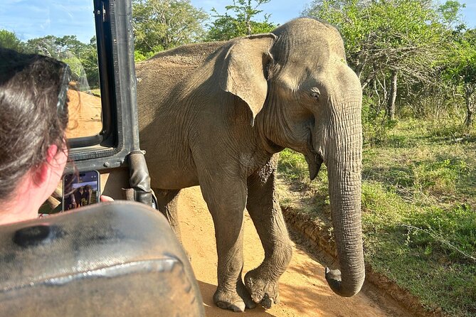 Yala 4h Jeep Safari: Guided Wildlife Experience (All Inclusive) - The private format is the real advantage