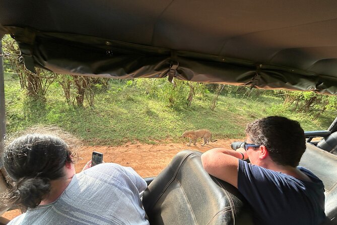 Yala 4h Jeep Safari: Guided Wildlife Experience (All Inclusive) - What may disappoint you