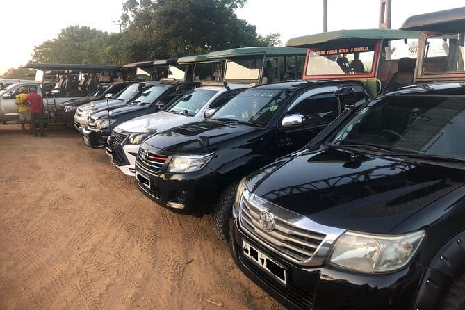 Yala and Udawalawa Safari Tour From Hambantota port - What the $47 price really covers