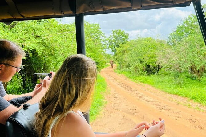Yala Best Extended Half Day Safari By Ceylon Leopard Safari - Six hours gives Yala room to unfold