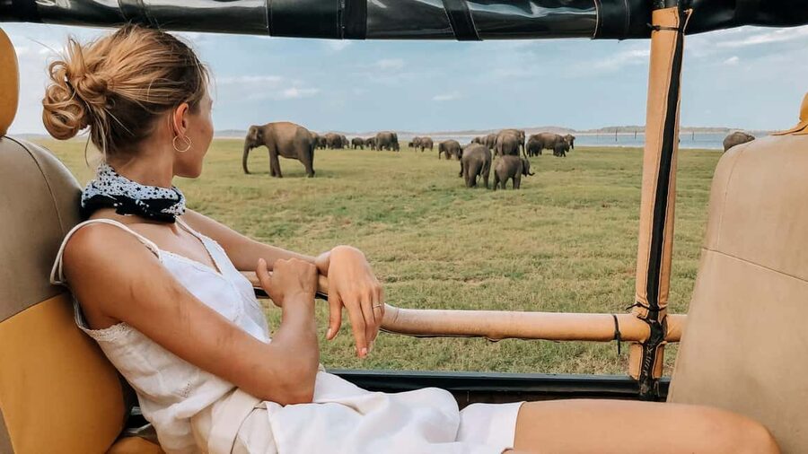 YALA BLOCK 5 & 6 (Weheragala & Lunugamwehera) Safari Tour - A quieter way into Yala’s southern country