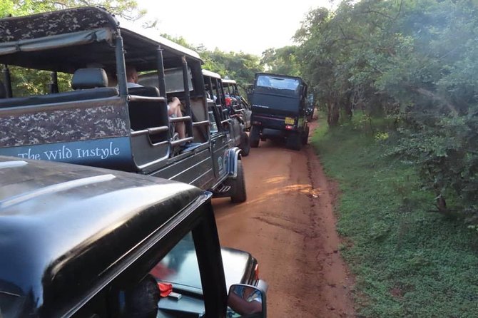 Yala Full Day Private Tour and Safari from Colombo or Negombo - What the $175 price really covers
