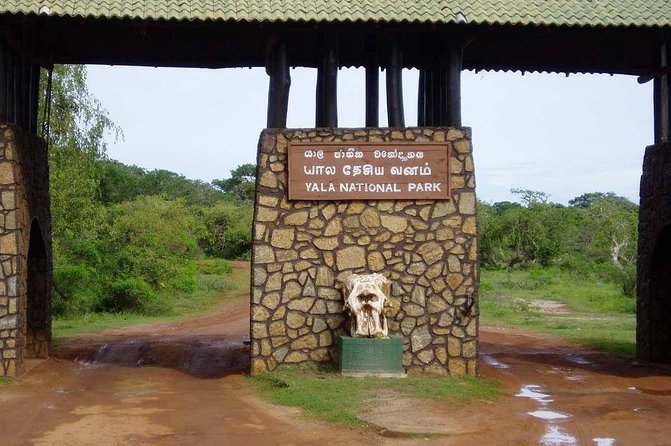 Yala Full Day Private Tour and Safari from Colombo or Negombo - Why the private format helps, and where it does not