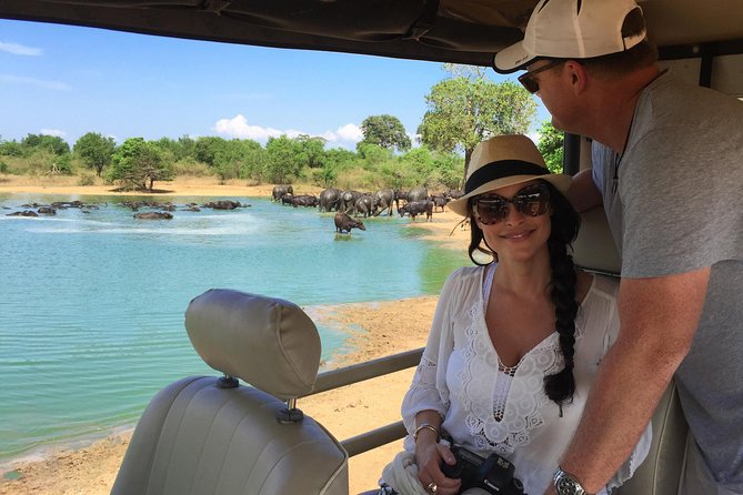 Yala Full Day Safari with Picnic Lunch - Private & All Inclusive - The private jeep and the value of an experienced driver