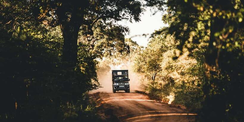 Yala: Morning or Afternoon All-inclusive Private Safari - Key points to know before booking