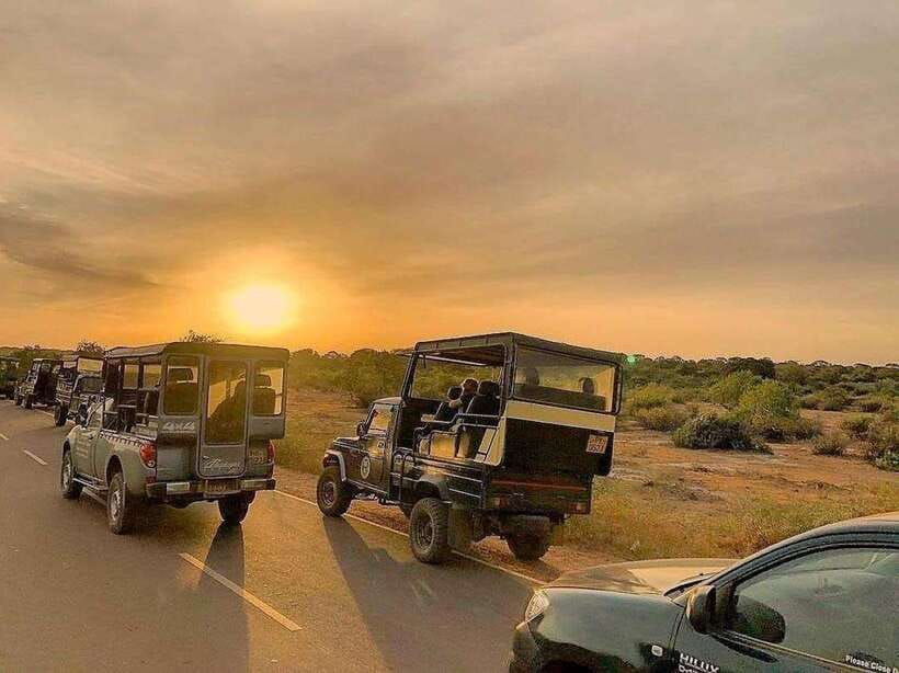 Yala National Park: 7 hour & 12 hour Leopard Safari Tours - Who should choose this safari?