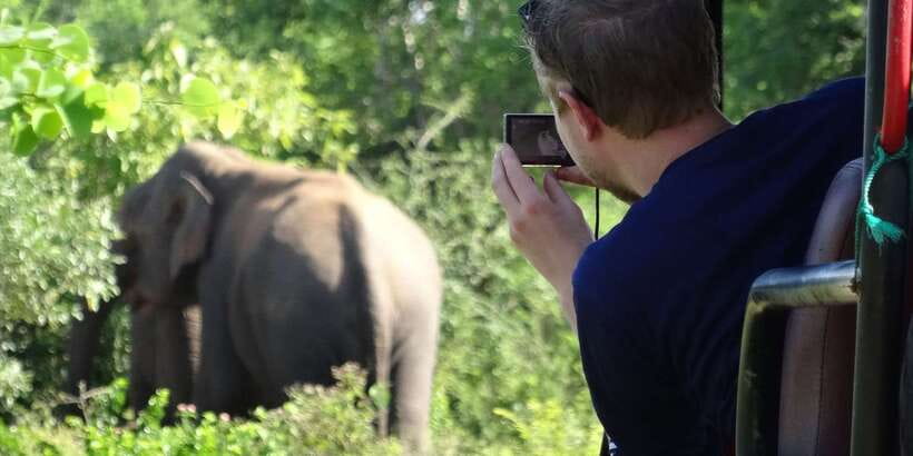 Yala National Park: All Inclusive Full-Day Safari with Lunch - Key points to know before booking