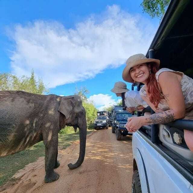 Yala National Park: All Inclusive Private Safari Day Trip - Lunch, park fees, and the $140 price