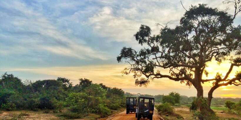 Yala National Park: Half, 7-Hour, or Full-Day Safari & Meals - Pickup from Tissamaharama, Kataragama, and nearby towns