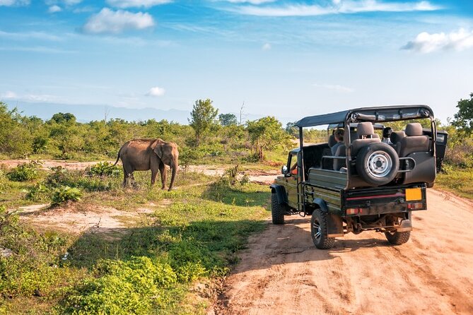 Yala National Park Half Day / Full Day Special Safari Tours - The real price: $22 plus the park ticket