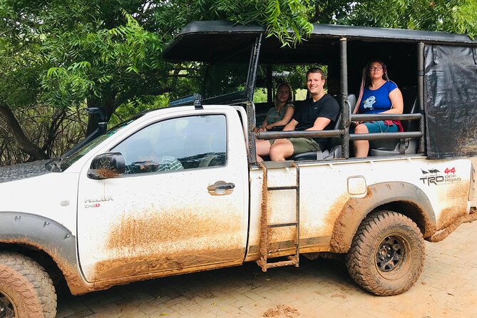 Yala National Park Half Day / Full Day Special Safari Tours - Inside the safari jeep