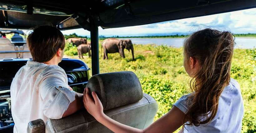 Yala National Park: Leopard Safari Tour with Park Tickets - Leopard Country, With No False Promises