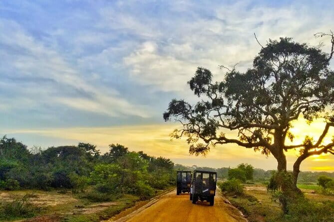 Yala National Park Private Jeep Safari From Colombo & Negombo - Key points to know before booking