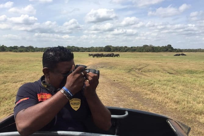 Yala National Park Private Jeep Safari From Colombo & Negombo - What the open jeep is really like