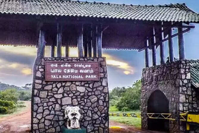 Yala National Park Private Jeep Safari From Colombo & Negombo - The value of $250 per person