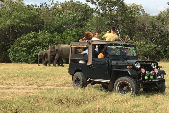 Yala National Park Private Jeep Safari From Colombo & Negombo - Comfort on the long return journey
