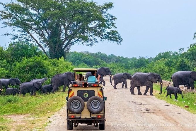 Yala National Park Private Safari (All Inclusive) From Mirissa - Entering Yala before the crowds