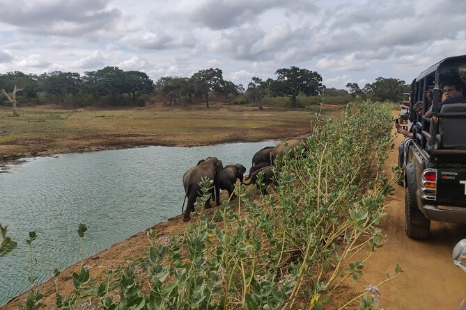 Yala National Park Safari from Bentota - The long run from Bentota to Yala