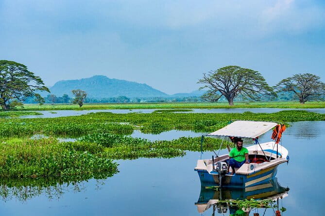 Yala National Park Safari - Half day and Full day - Searching for leopards, elephants, and sloth bears