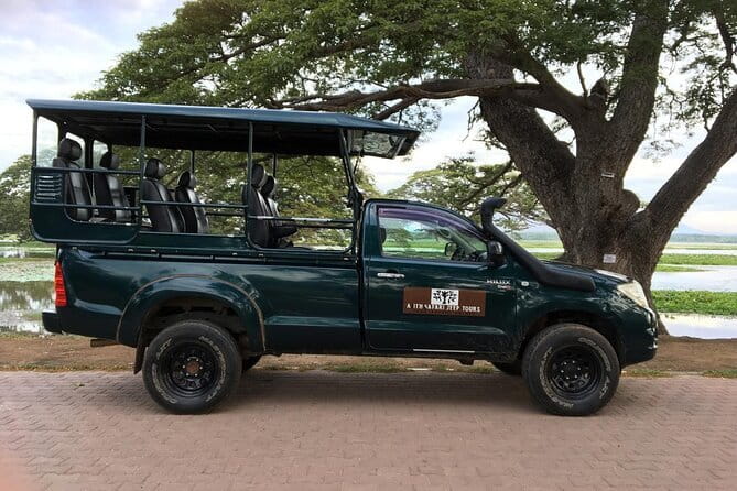 Yala National Park Safari - Half day and Full day - Comfort, safety, and the eco-friendly angle