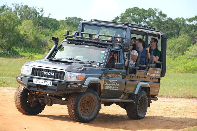Yala National Park Safari : Special Guided Tour - Key points before you book