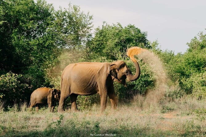 Yala National Park Safari : Special Guided Tour - Sustainable tourism needs clear expectations
