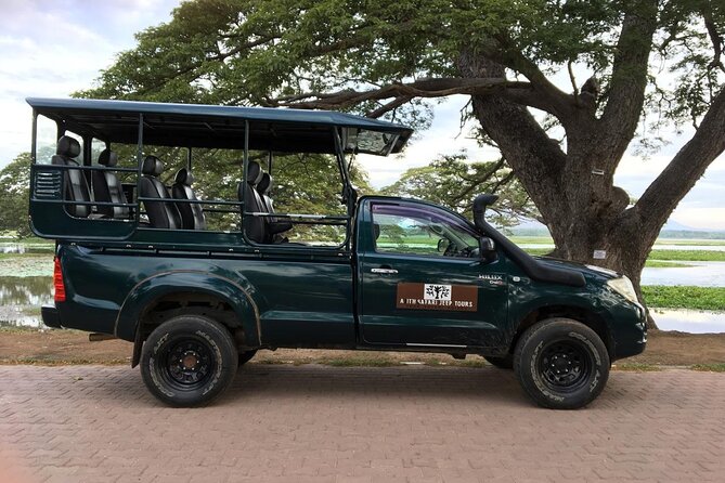 Yala National Park Wildlife Safari/ Game Drive - by Ajith Safari - Key points to know before you go