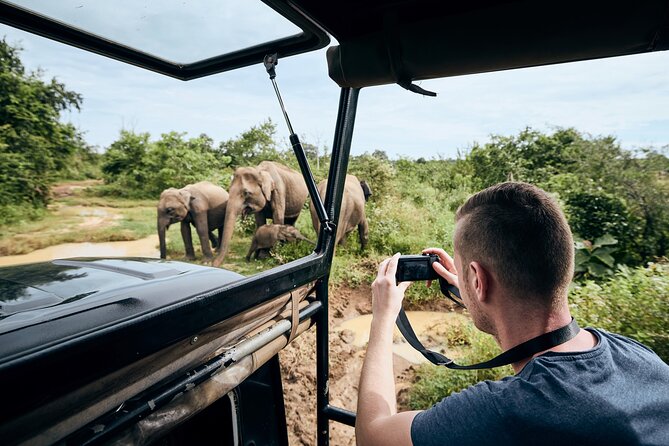 Yala National Park Wildlife Safari/ Game Drive - by Ajith Safari - The seven-hour option needs careful clarification