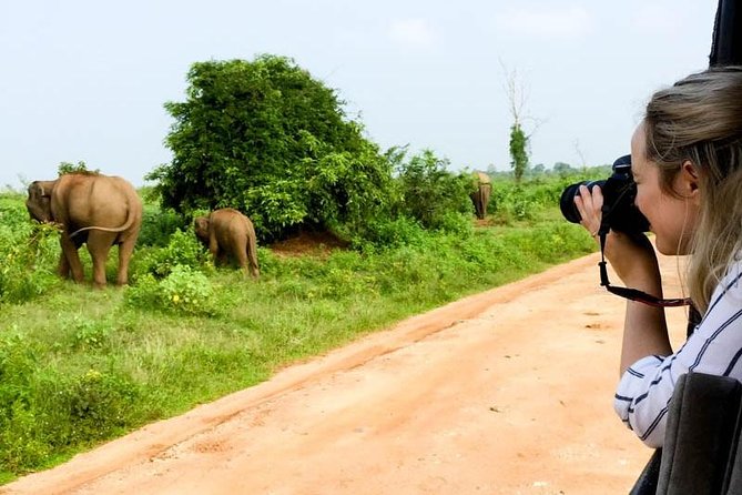 Yala Safari Day Trip from Bentota/ Kalutara/ Ahungalla/ Hikkaduwa - Sunrise or afternoon: choosing the better departure
