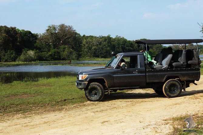 Yala Safari Day Trip from Mirissa/Weligama/Galle/Tangalle areas - Why this Yala day trip works from the south coast