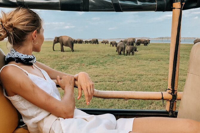 Yala Safari Day Trip from Mirissa/Weligama/Galle/Tangalle areas - Who should book this safari?