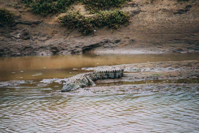 Yala Safari from Hambantota Port by BTM - Private & All Inclusive - The private group advantage