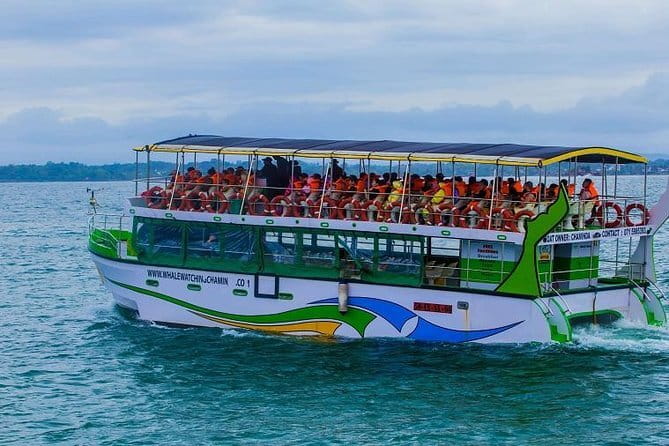 Yala Safari Private Day Tour From Kaluthara/Beruwala/Bentota/Kosgoda/Ahungalla - Practical expectations inside the park