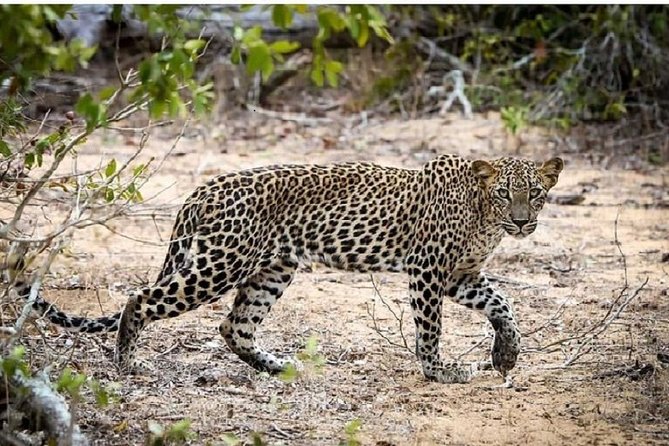 Yala Safari Private Day Tour Kaluthara/Beruwala/Bentota/Kosgoda/Ahungalla - Leaving the coast in a private car
