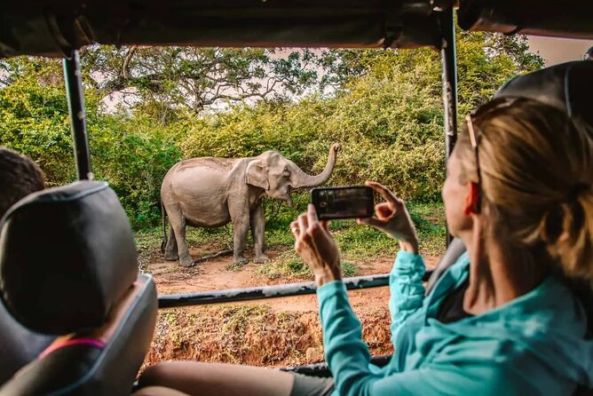 Yala Safari Tour from Hambantota Port by Ajith Safaris - Key points before you book