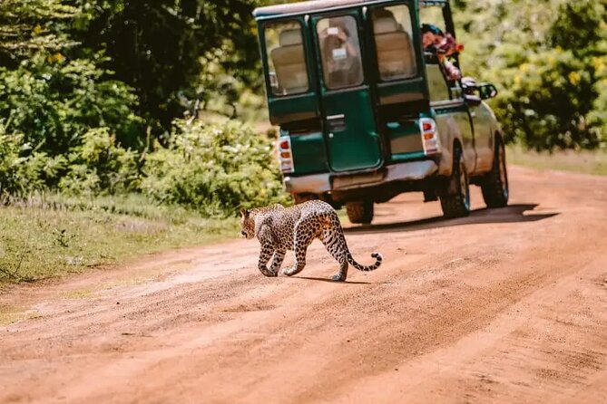 Yala Safari Tour from Hambantota Port by Ajith Safaris - Meeting the team at Hambantota Port