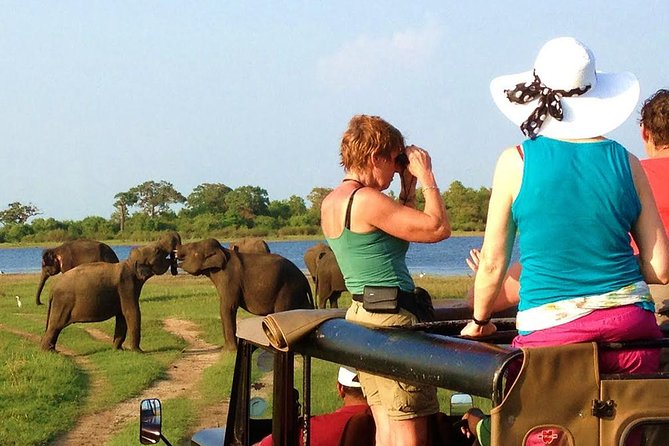 Yala Safari Tour from Hambantota Port (Shore Excursion) - Leaving Hambantota Port and reaching Yala