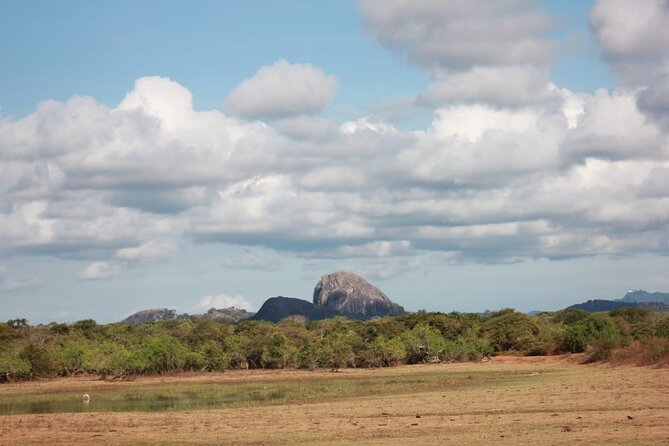 Yala safari Tours Morning /Afternoon /Fullday - The Jeep, driver, and tracker